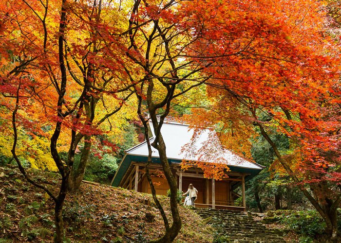 ⛩️ 카라쿠니 신사 이미지 13